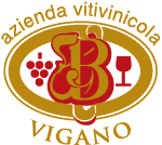 Azienda Vitivinicola Vigano